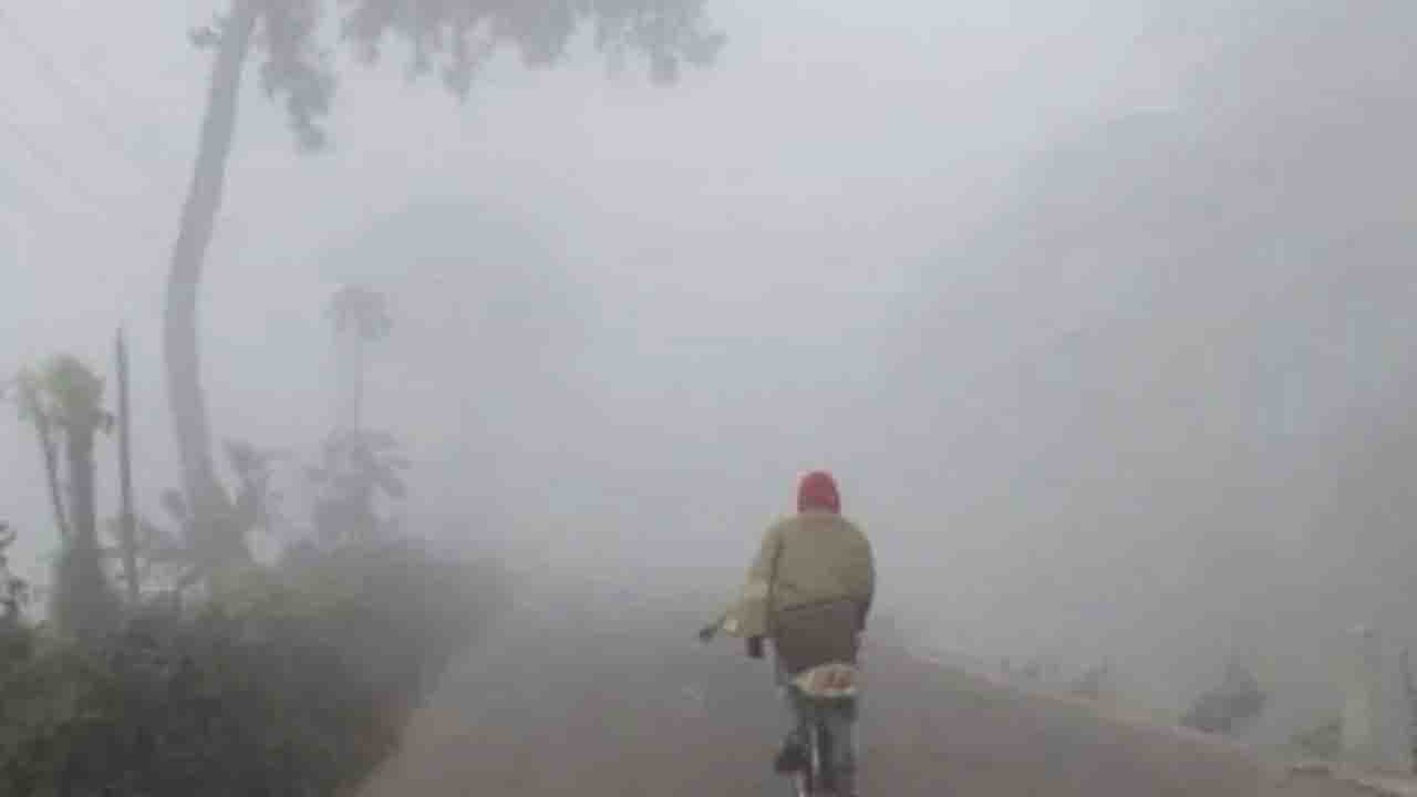 দেশে কবে থেকে শীত বাড়বে? জানাল আবহাওয়া অফিস