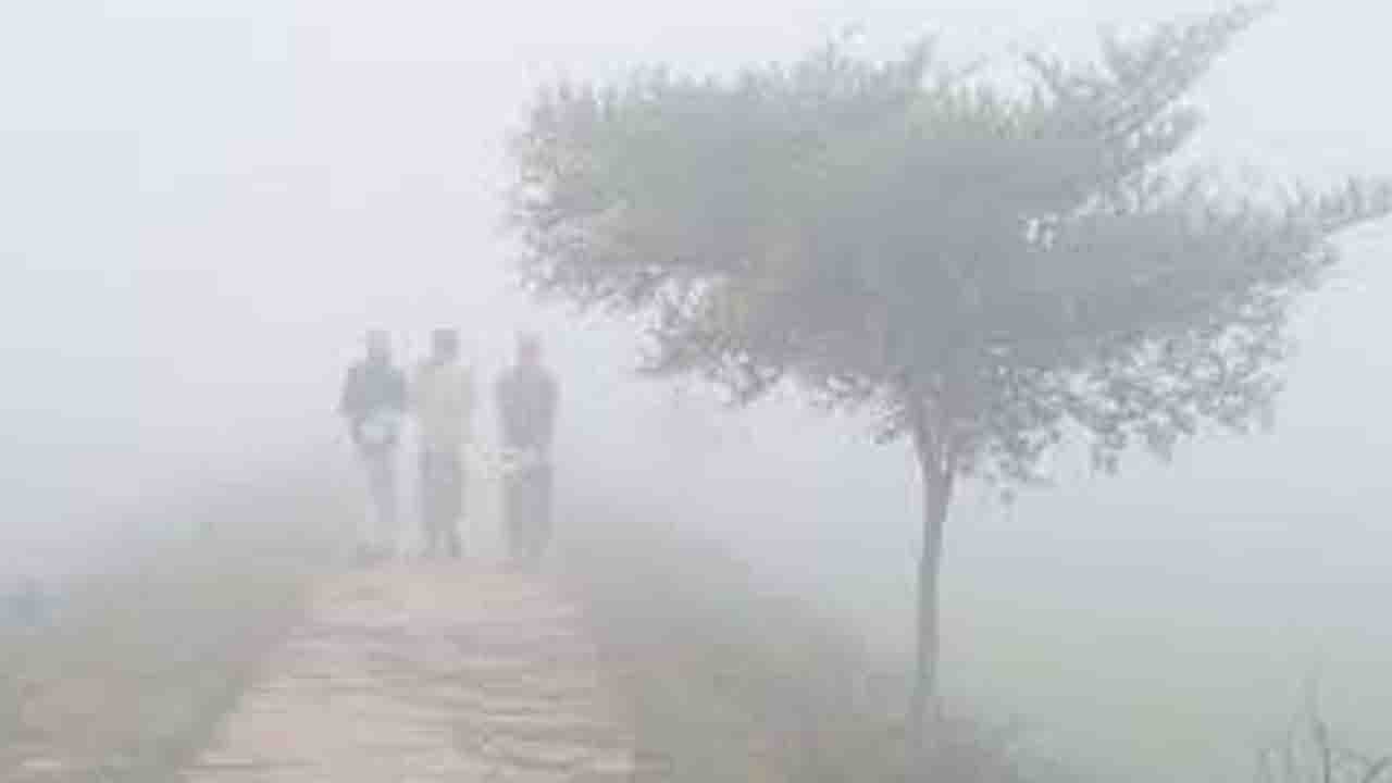 হিমেল বাতাস আর কুয়াশায় কাঁপছে তেঁতুলিয়া