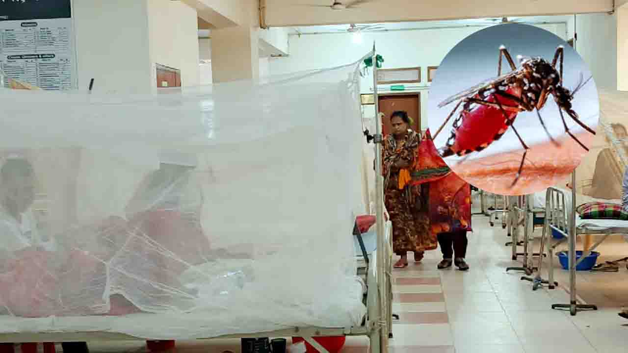ডেঙ্গুতে আরও ৫ জনের মৃত্যু, হাসপাতালে ভর্তি ৭৯২
