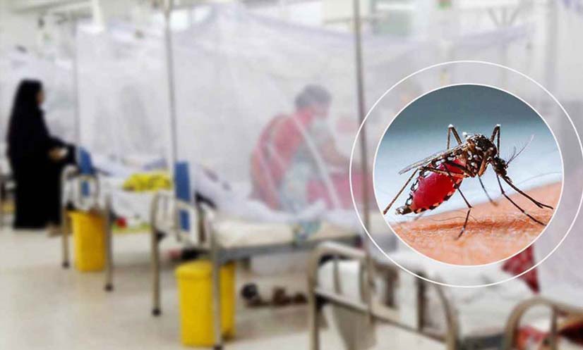 ডেঙ্গুতে আরো ২ জনের মৃত্যু, হাসপাতালে ৩৯৩