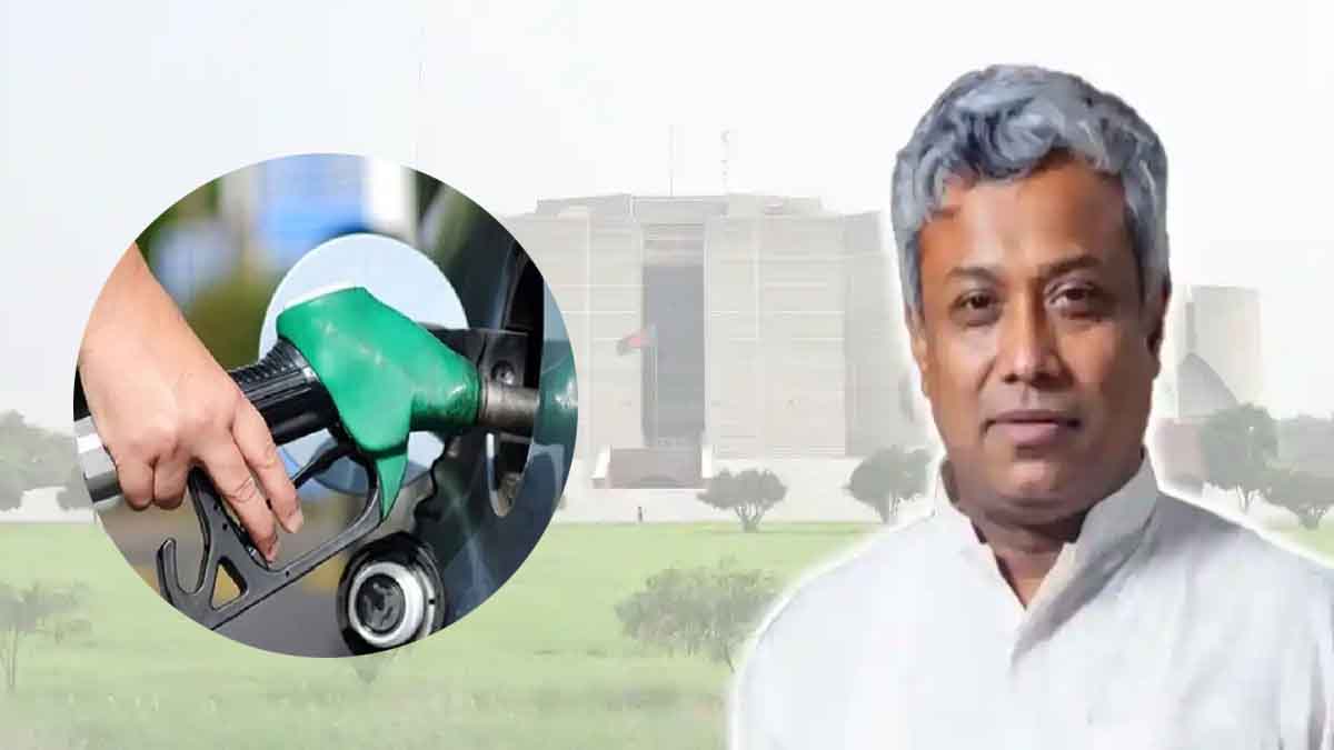 জ্বালানি সংকট নিয়ে সংসদে সুখবর দিলেন:প্রতিমন্ত্রী