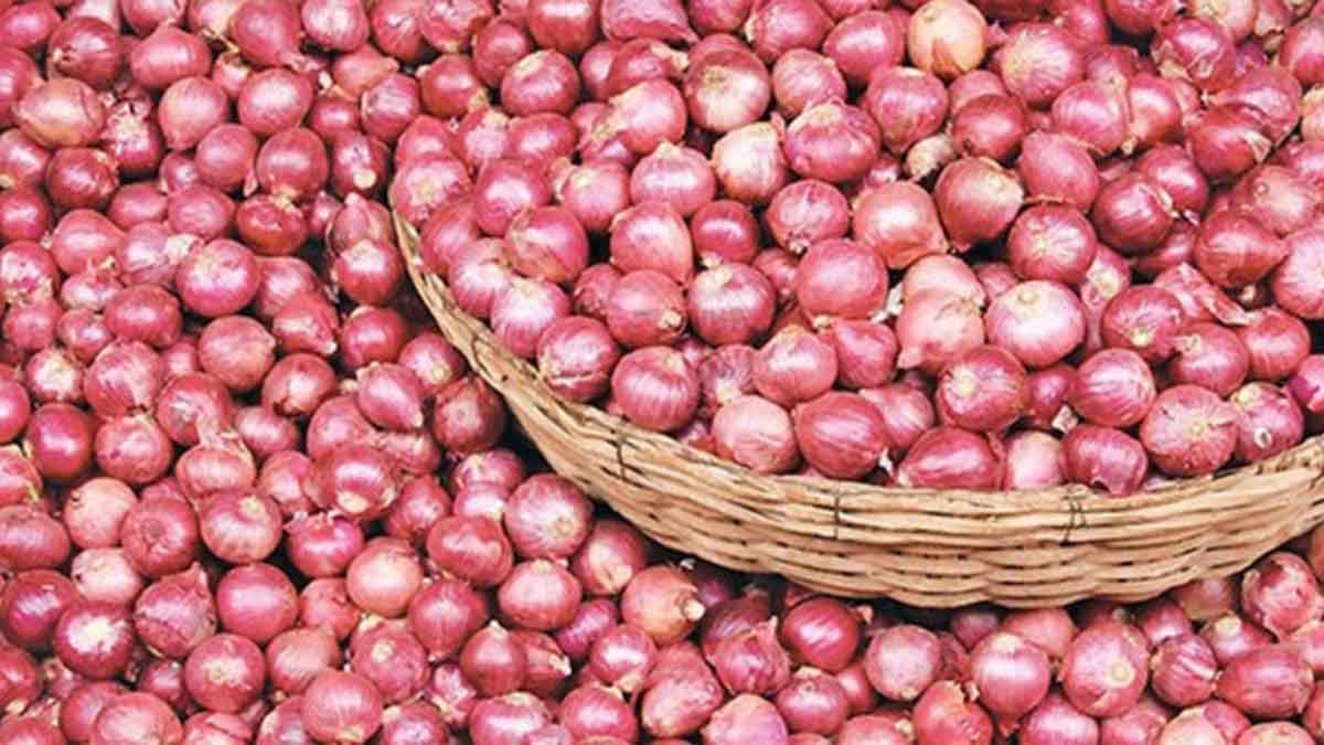 দিনাজপুরে সপ্তাহের ব্যবধানে কমলো পেঁয়াজের দাম