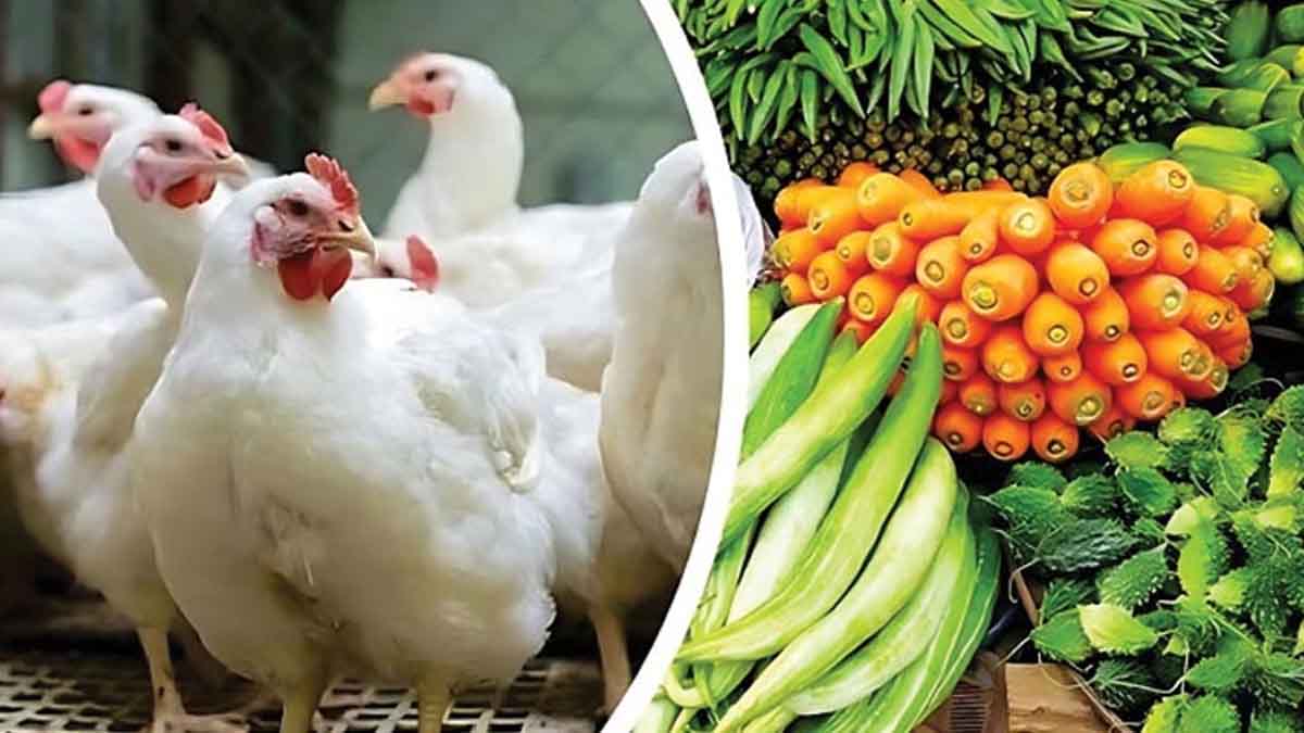 মুরগির বাজারে স্বস্তি ভোজ্যতেল ও সবজির খবর কী