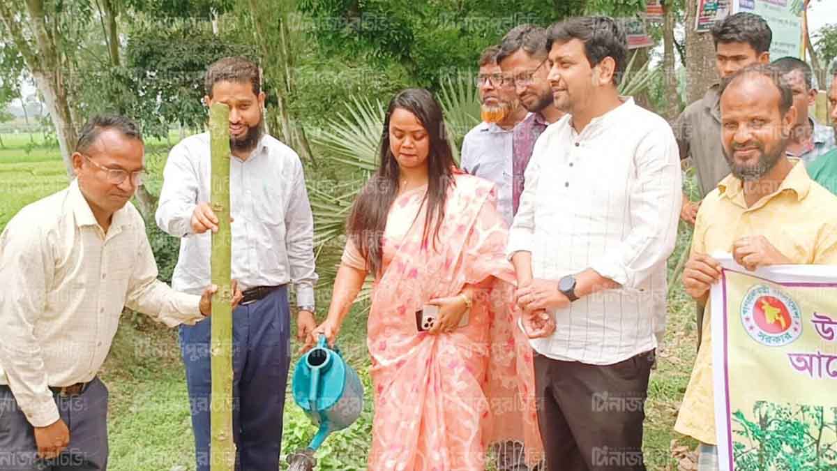 বীরগঞ্জে সজিনা চাষ সম্প্রসারণে রোপণ কর্মসূচির উদ্বোধন
