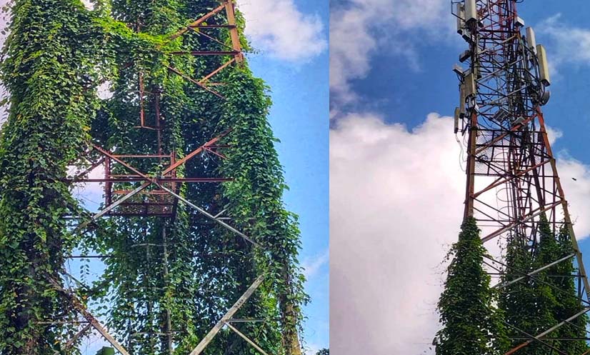 খাগড়াছড়িতে নেটওয়ার্ক ও ইন্টারনেট সেবা বন্ধ, ভোগান্তি চরমে