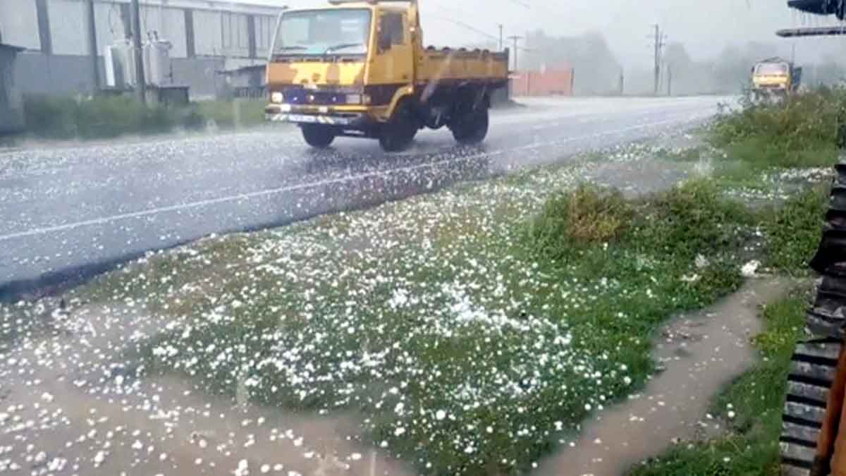শিলাবৃষ্টিতে বিপর্যস্ত দিনাজপুর কৃষকের মাথায় হাত