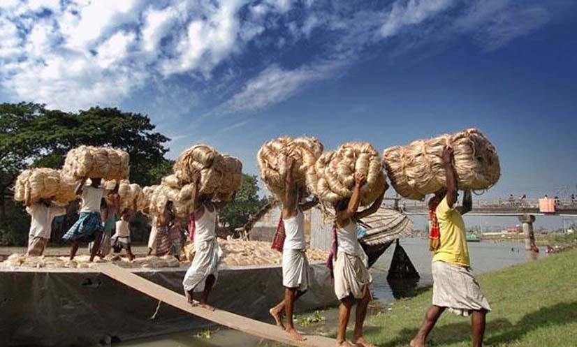 পাট রপ্তানিতে আগের মাশুল বহাল রাখলো সরকার