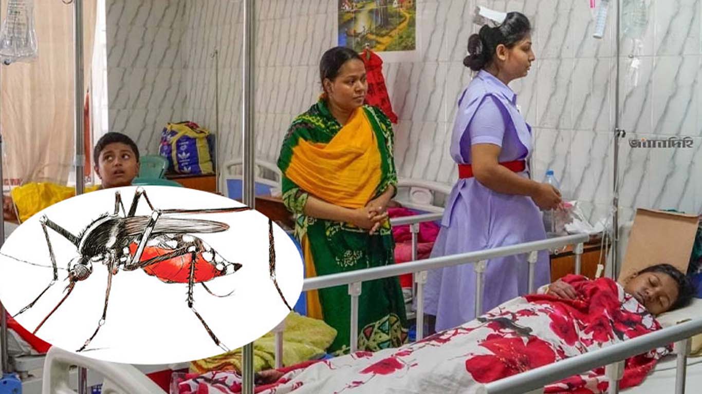 ২৪ ঘণ্টায় ডেঙ্গুতে আক্রান্ত আরও ১৬৫, নেই মৃত্যু