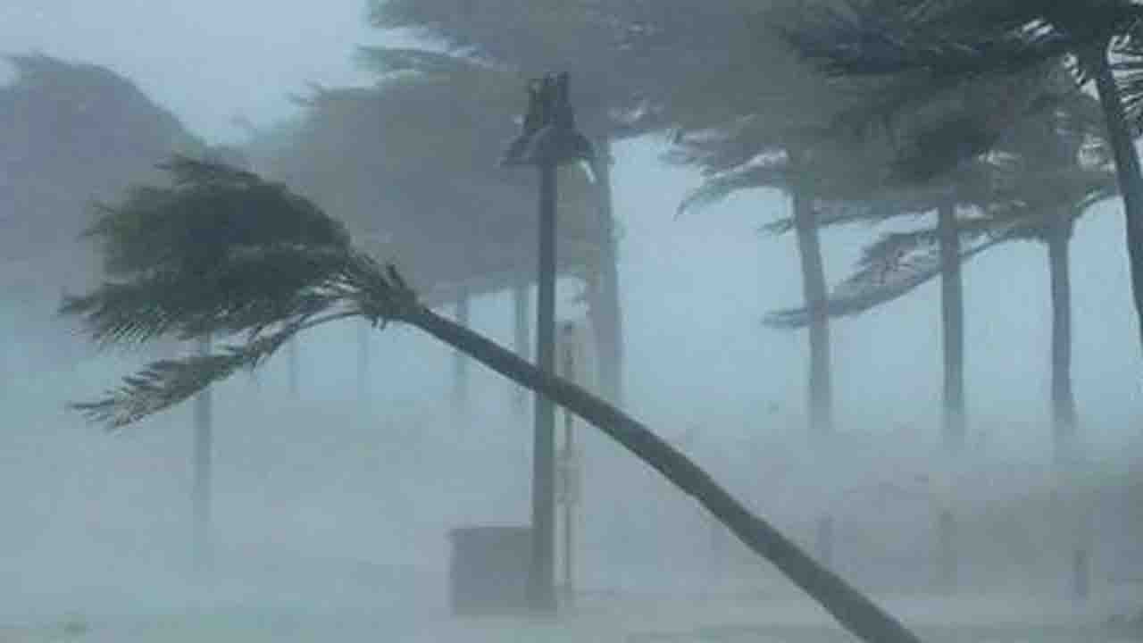 দেশের ১২ জেলায় ঝড়ের পূর্বাভাস