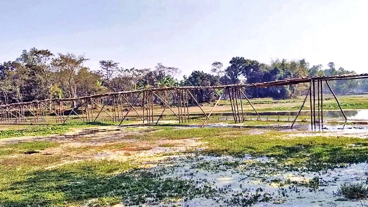 চিরিরবন্দরে ইছামতীর ওপর সেতুর দাবি, সাঁকোয় হাজারো মানুষের ঝুঁকি