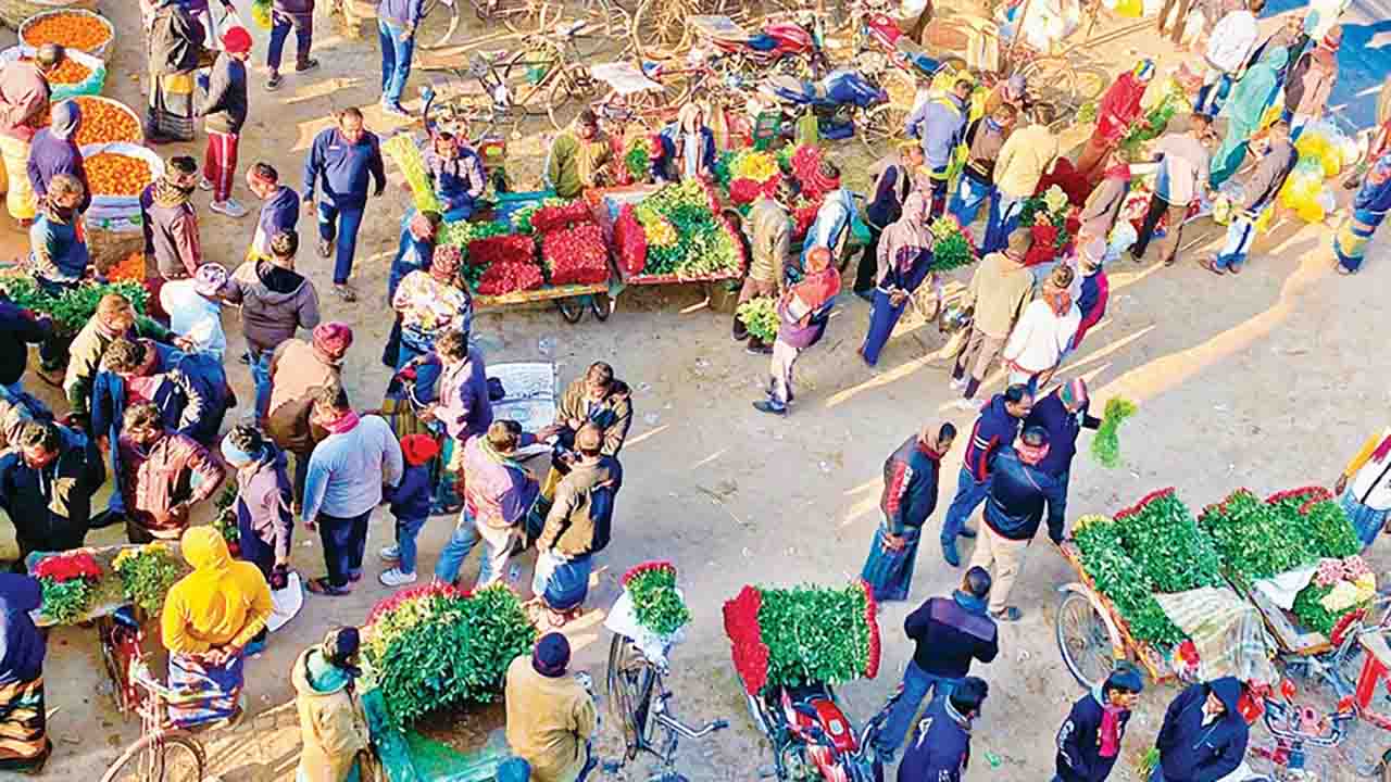 বিজয় দিবসে গদখালীতে ৫ কোটি টাকার ফুল বিক্রির লক্ষ্যমাত্রা