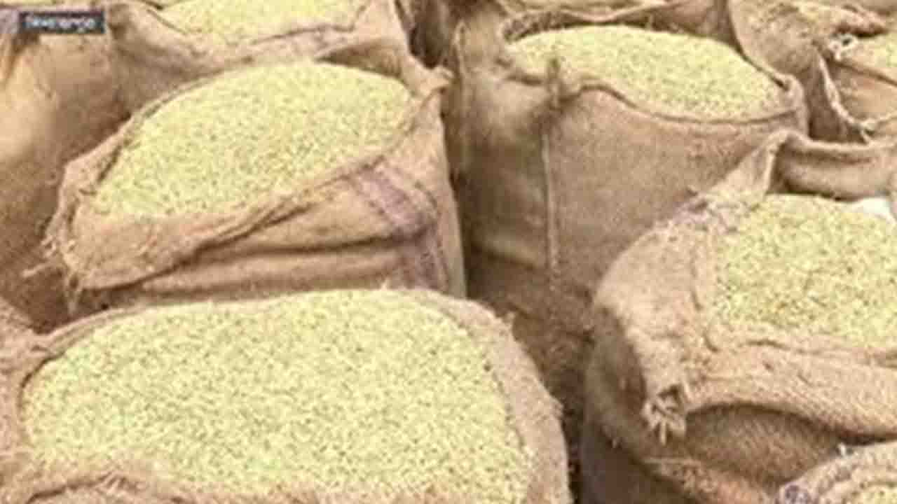 ফলন বিপর্যয় ও দাম কম আমন চাষীরা লোকসানের মুখে