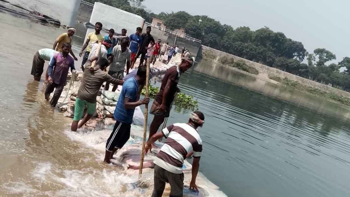 দিনাজপুরের মোহনপুর রাবার ড্যামের সংস্কার কাজ শুরু