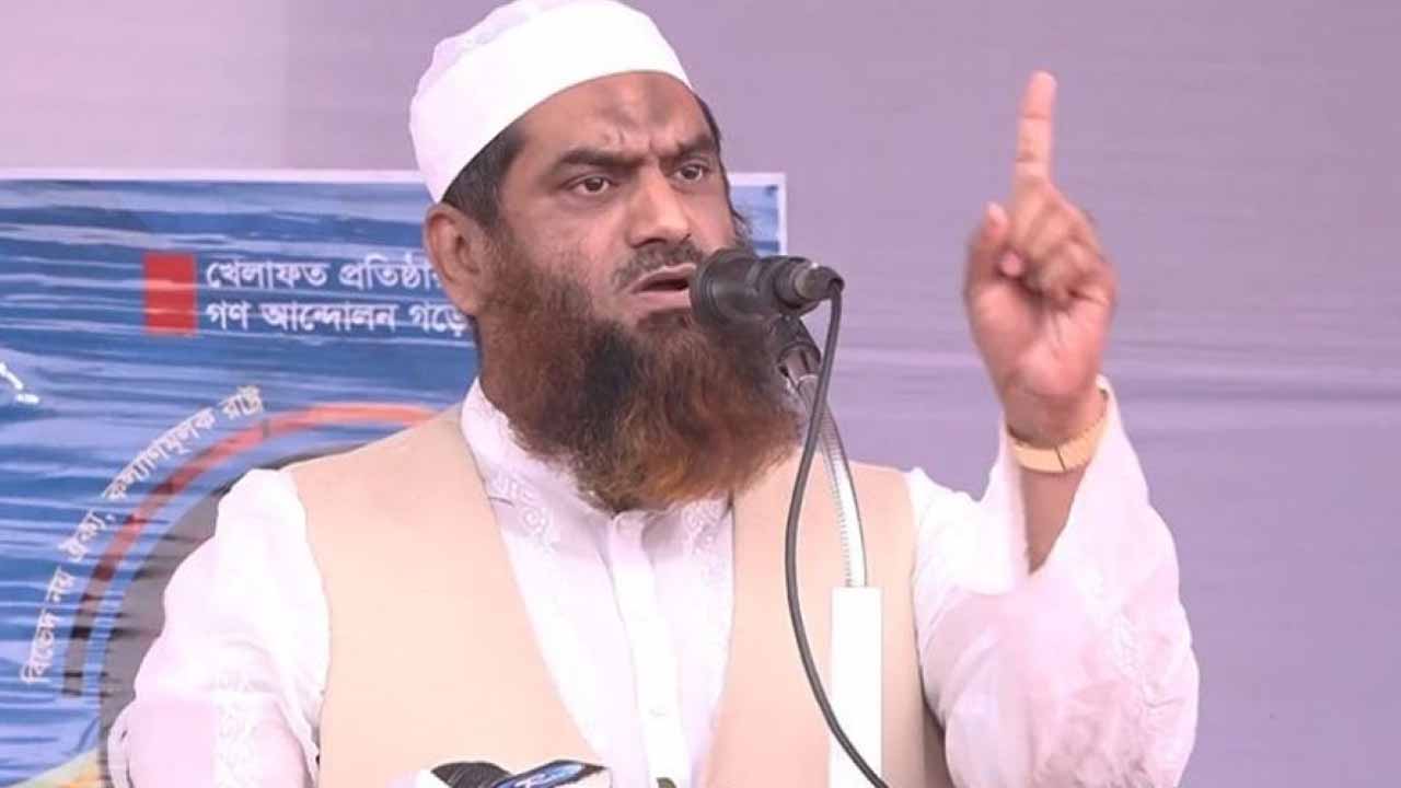 নির্বাচনি হলফনামায় সম্পদের যে বিবরণ দিলেন মামুনুল হক