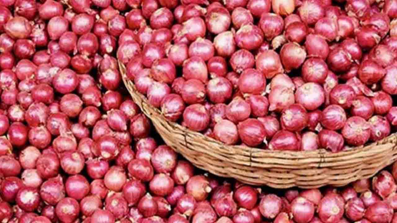 আমদানির খবরে কমতে শুরু করেছে পেঁয়াজের দাম