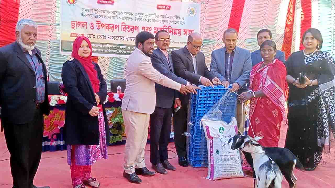 বিরলে ১০০ ক্ষুদ্র নৃ-গোষ্ঠী পরিবারের মাঝে ছাগল ও উপকরণ বিতরণ