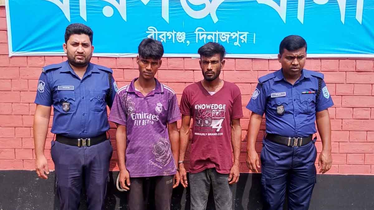 বীরগঞ্জে মাদকবিরোধী অভিযানে ২ যুবকের কারাদণ্ড