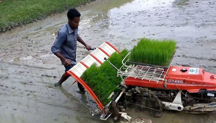 ফেনীর সোনাগাজীর কৃষিতে যান্ত্রিকীকরণে বিপ্লবের ছোঁয়া